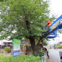 樹木剪定ボランティアの活動ありがとうございました。